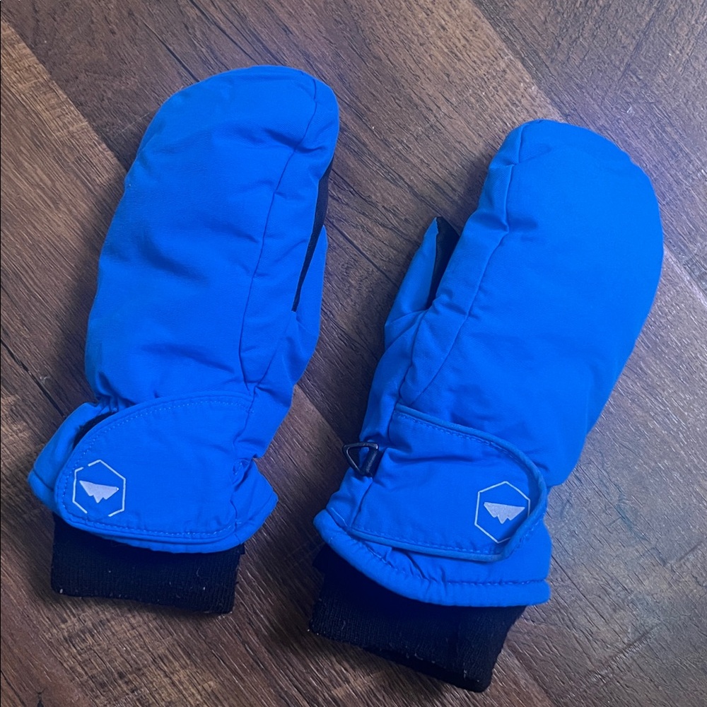 Black and Blue Winter Mittens